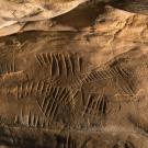Photographie d'une paroi gravée de traits et sillons dans la grotte à la Peinture de Larchant (77)
