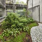 Vue du jardin intérieur n°7 du musée qui évoque un paysage forestier d'un climat légèrement plus océanique que l'actuel