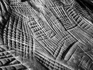 Gravures rupestres dans le massif de Fontainebleau