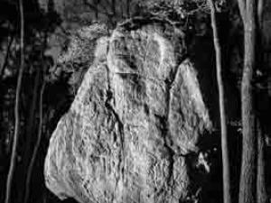 Rocher gravé d'une figure anthropomorphe.