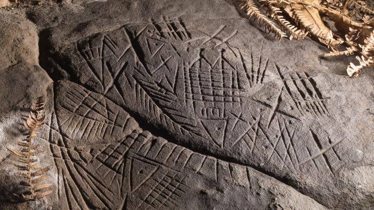 Photographie d'un rocher grès sculpté de gravures protohistoriques en forêt de Fontainebleau