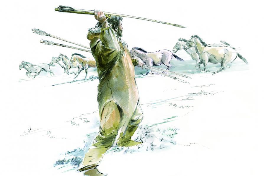 Illustration d'une chasse aux chevaux. Un chasseur préhistorique armé d'un propulseur et d'une sagaie est représenté de dos face à un troupeau de chevaux